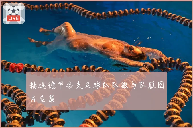 精选德甲各支足球队队徽与队服图片合集