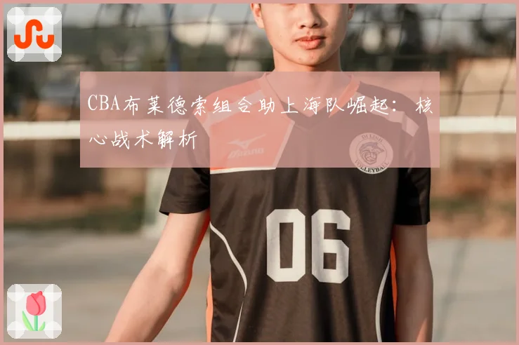 CBA布莱德索组合助上海队崛起：核心战术解析