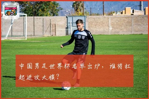 中国男足世界杯名单出炉，谁将扛起进攻大旗？