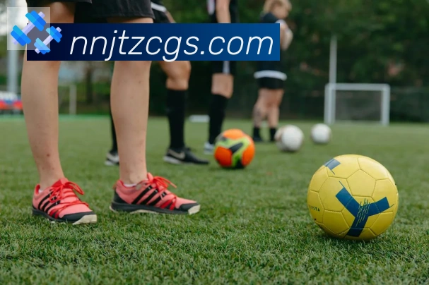 开云appAPP 封面图