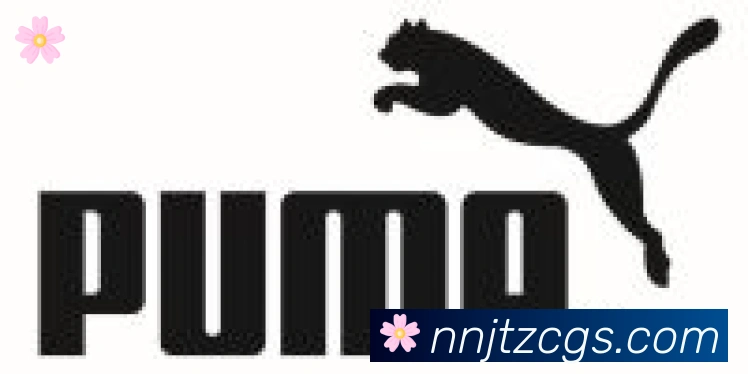 开云app合作伙伴