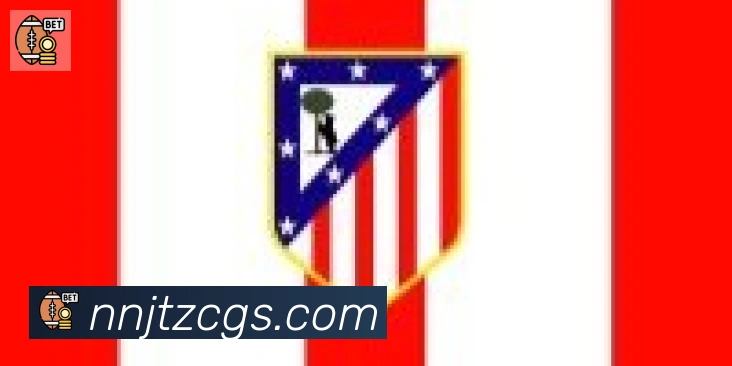 开云app合作伙伴