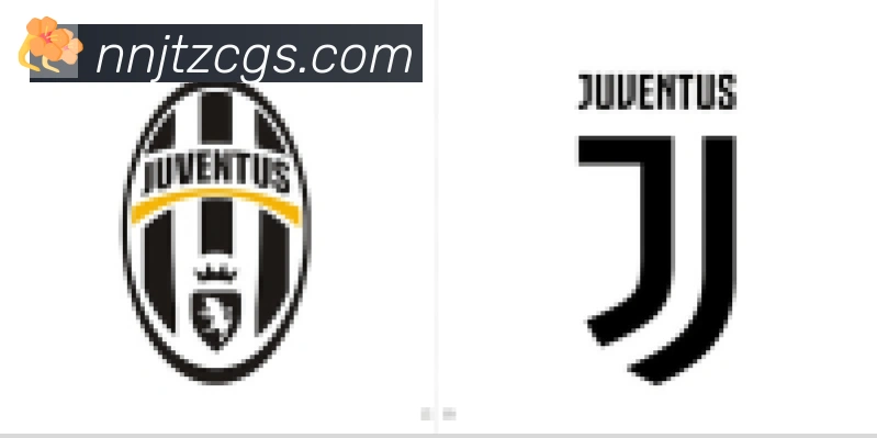 开云app合作伙伴